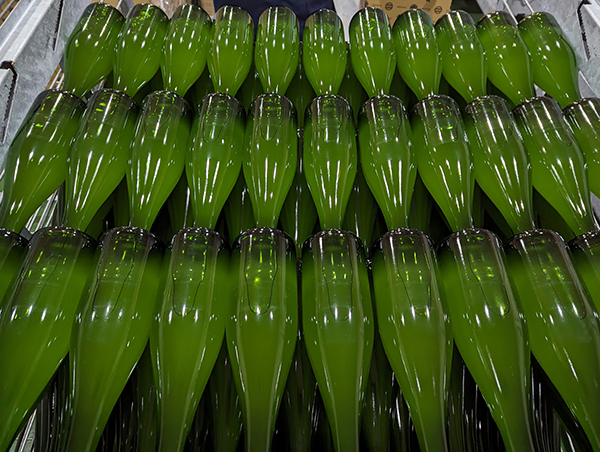 Bouteilles de saké pétillant à la brasserie de Yamanashi Meijo, Shichiken